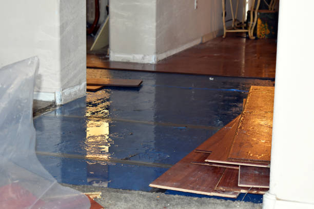 Professional Sewage Cleanup technician working in Surveyor, WV